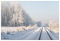Sneeuwlandschap De Hees 2